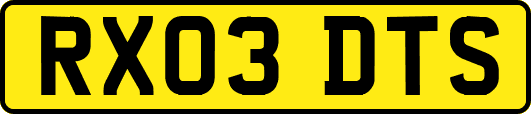 RX03DTS