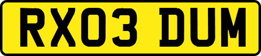RX03DUM