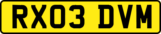 RX03DVM