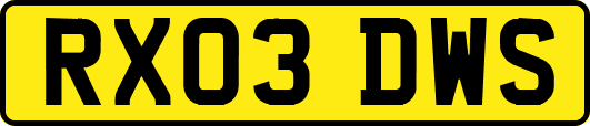 RX03DWS