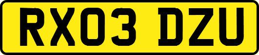 RX03DZU