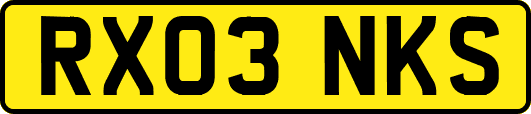 RX03NKS