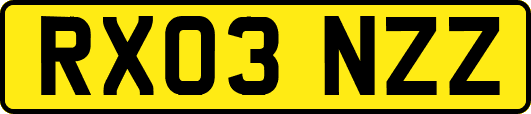 RX03NZZ