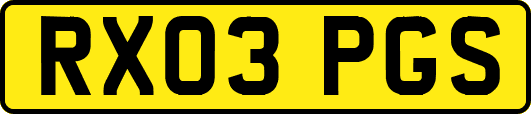 RX03PGS