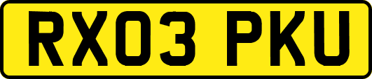 RX03PKU