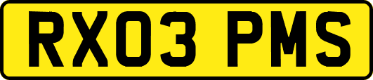 RX03PMS