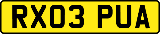 RX03PUA