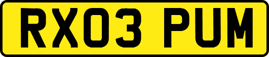 RX03PUM