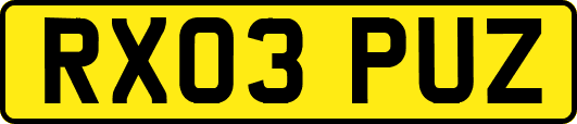 RX03PUZ