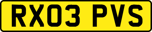RX03PVS