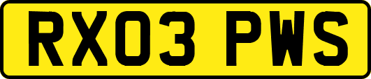 RX03PWS