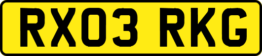 RX03RKG