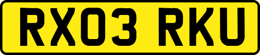 RX03RKU