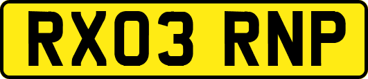 RX03RNP