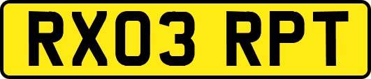 RX03RPT