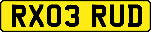 RX03RUD