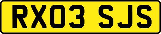 RX03SJS