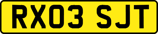 RX03SJT