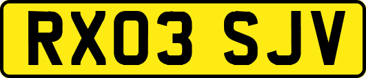 RX03SJV