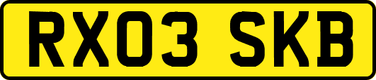 RX03SKB