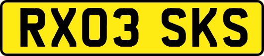 RX03SKS