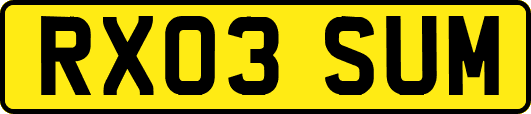 RX03SUM