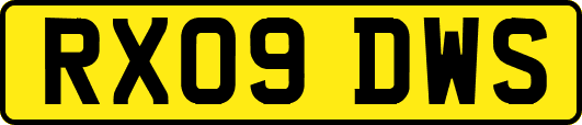 RX09DWS