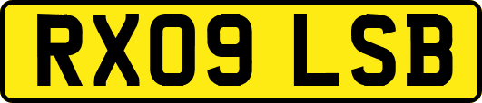 RX09LSB