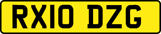 RX10DZG