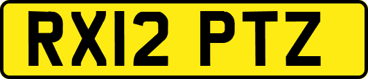 RX12PTZ