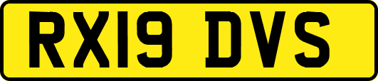 RX19DVS