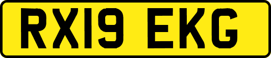 RX19EKG