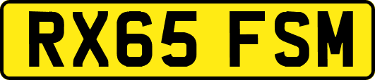 RX65FSM
