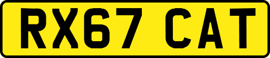 RX67CAT