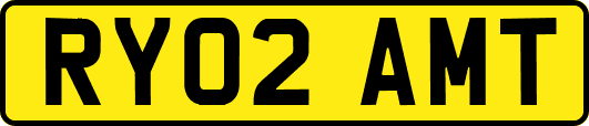 RY02AMT