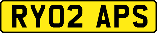 RY02APS