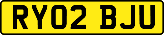 RY02BJU