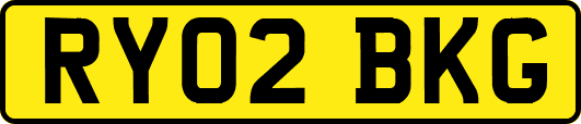 RY02BKG