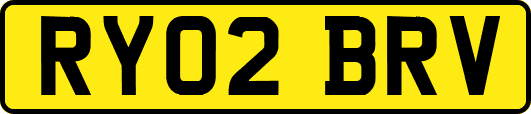 RY02BRV
