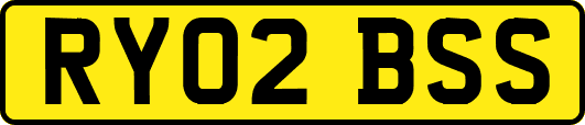 RY02BSS