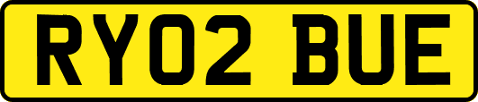 RY02BUE