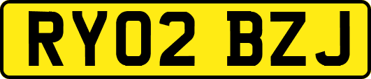 RY02BZJ