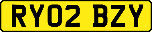 RY02BZY