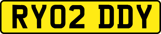 RY02DDY