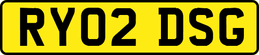 RY02DSG