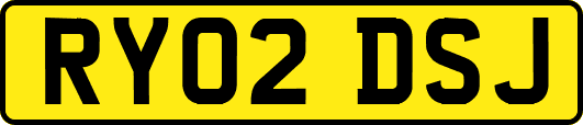 RY02DSJ