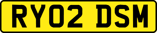 RY02DSM