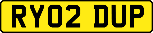 RY02DUP