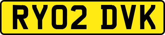 RY02DVK