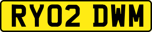 RY02DWM